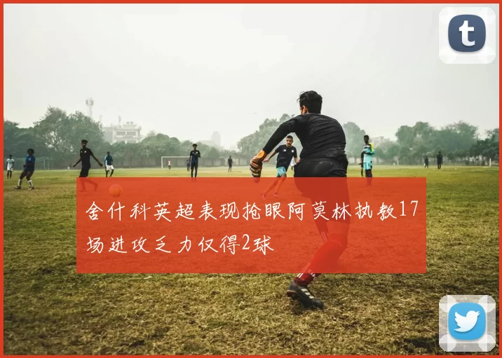 舍什科英超表现抢眼阿莫林执教17场进攻乏力仅得2球